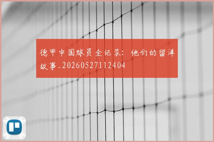 德甲中国球员全记录：他们的留洋故事_20260527112404