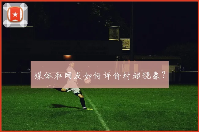 媒体和网友如何评价村超现象?